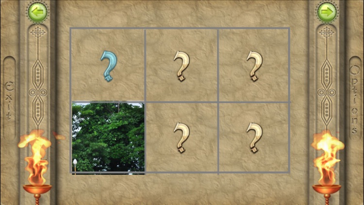 FlipPix Jigsaw - Dragons