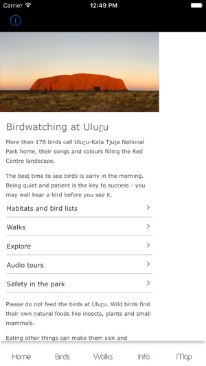 Uluru birds