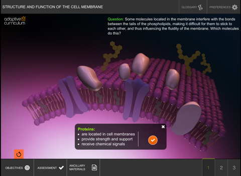 Cell Membrane screenshot 2