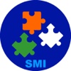 SMI Teamwork