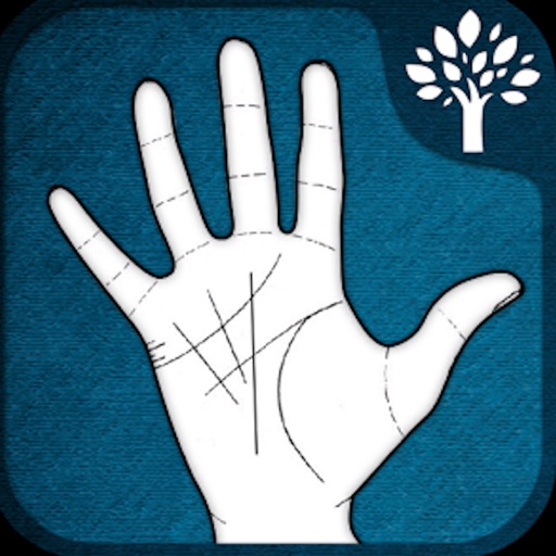Palm Reader - Scan Your Future