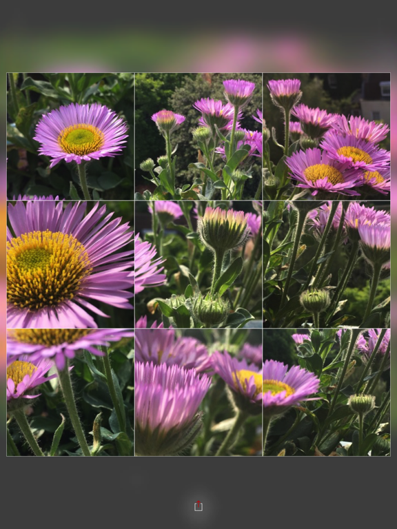 Screenshot #5 pour Hock