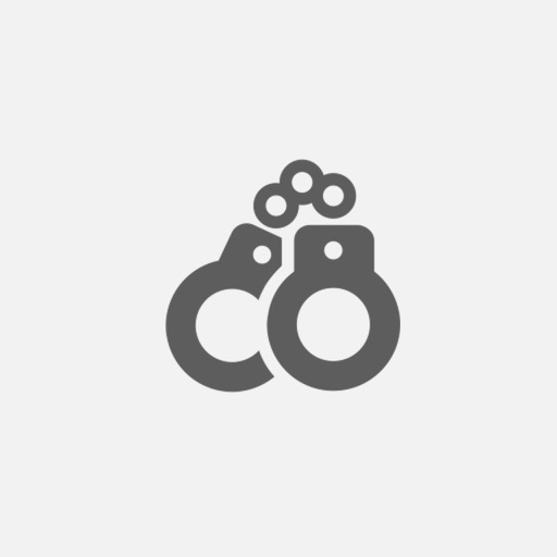 Pocket Wiki for Prison Architect