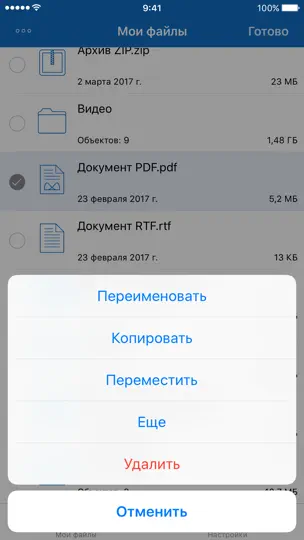 Скриншот Файловый Менеджер на iPhone 2