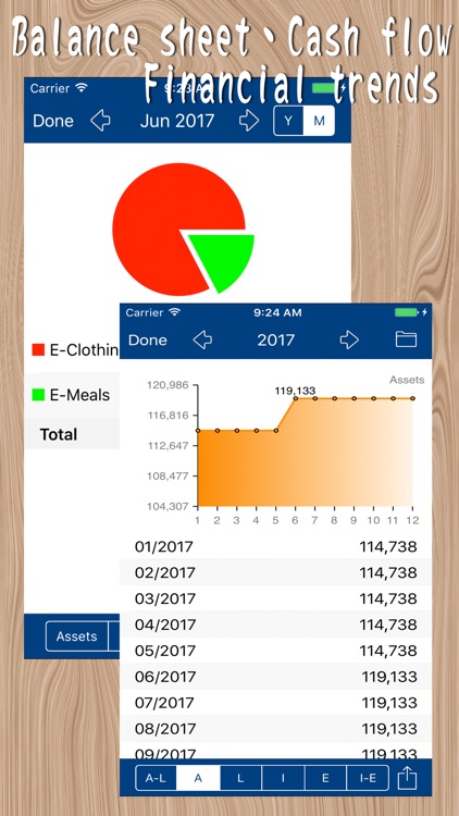 MyAsset Pro - My Accounting Book Pro