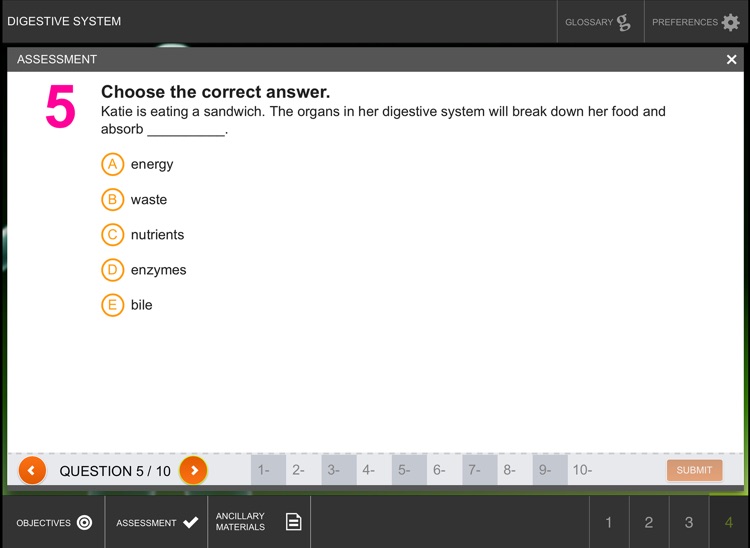 Digestive System screenshot-4