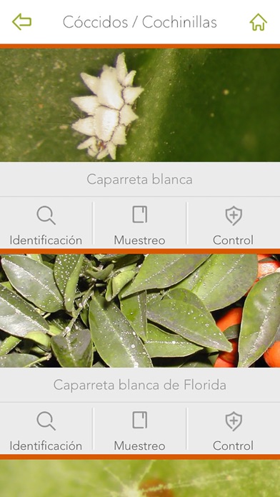 Screenshot 4 of Gipcitricos IVIA App