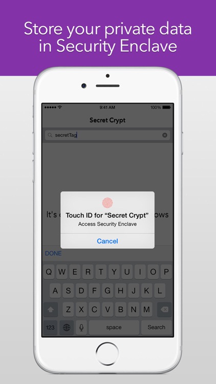 Secret Crypt -hide private & confidential with log