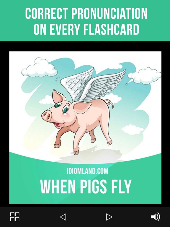 Screenshot #5 pour English Idioms Cards