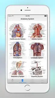 anatomy - 1k+ illustrations iphone screenshot 2