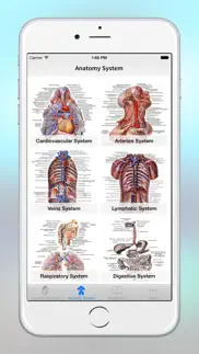 anatomy - 1k+ illustrations айфон картинки 2