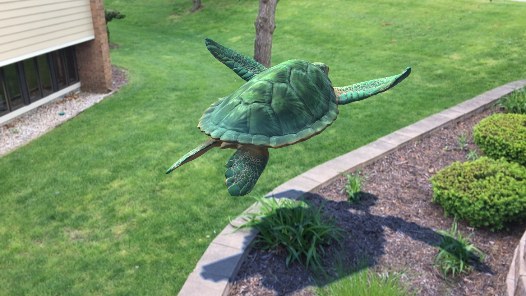 WikiTurtle screenshot 5