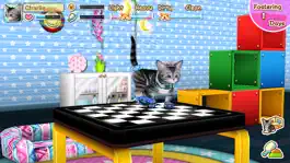 Game screenshot My Cat My Room mod apk