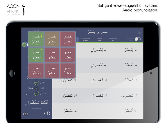 ACON the Arabic Verb Conjugator iPad app afbeelding 2
