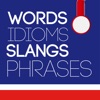 English Vocabulary Builder - Words Phrases Idioms - iPadアプリ
