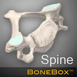 BoneBox - Spine Viewer app icon