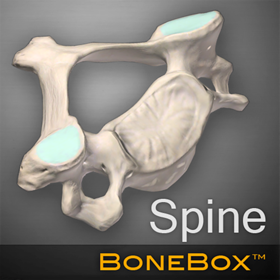 螢幕擷取畫面 (5) BoneBox - Spine Viewer