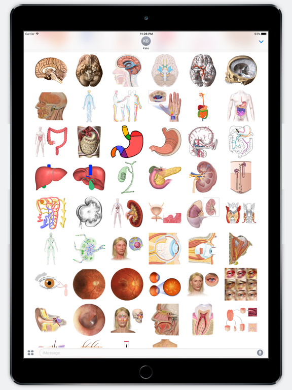 Screenshot #6 pour Anatomy Stickers