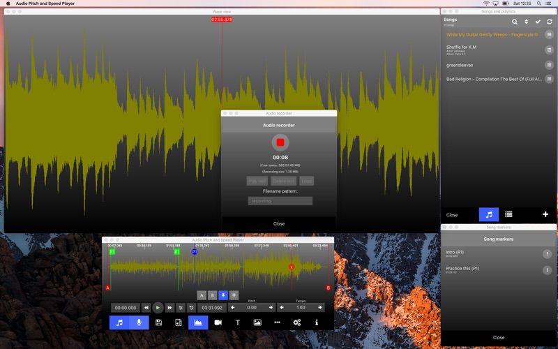 Music Speed Changer Pro 2 screenshot