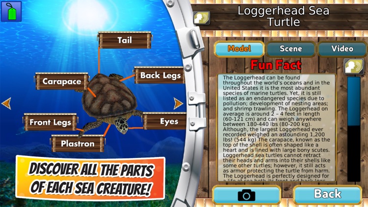 Popar Sea Life screenshot-3