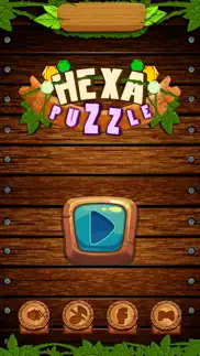 hexa wood block puzzle! iphone screenshot 2