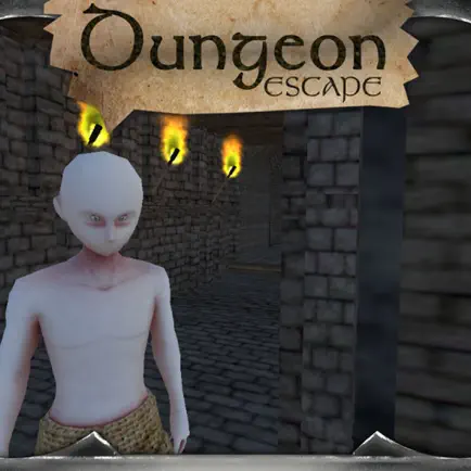 Dungeon Escape - 3D Labyrinth Maze Cheats