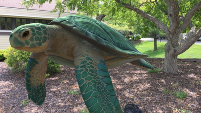 Screenshot #1 pour WikiTurtle