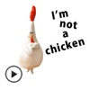 Animated Chickenmom Sticker