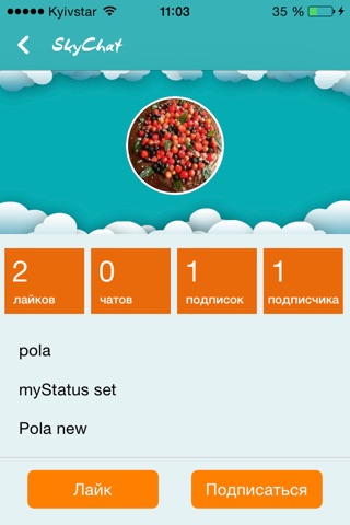 Sky-Chat screenshot 3