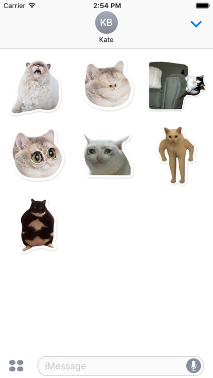 Elite Cats