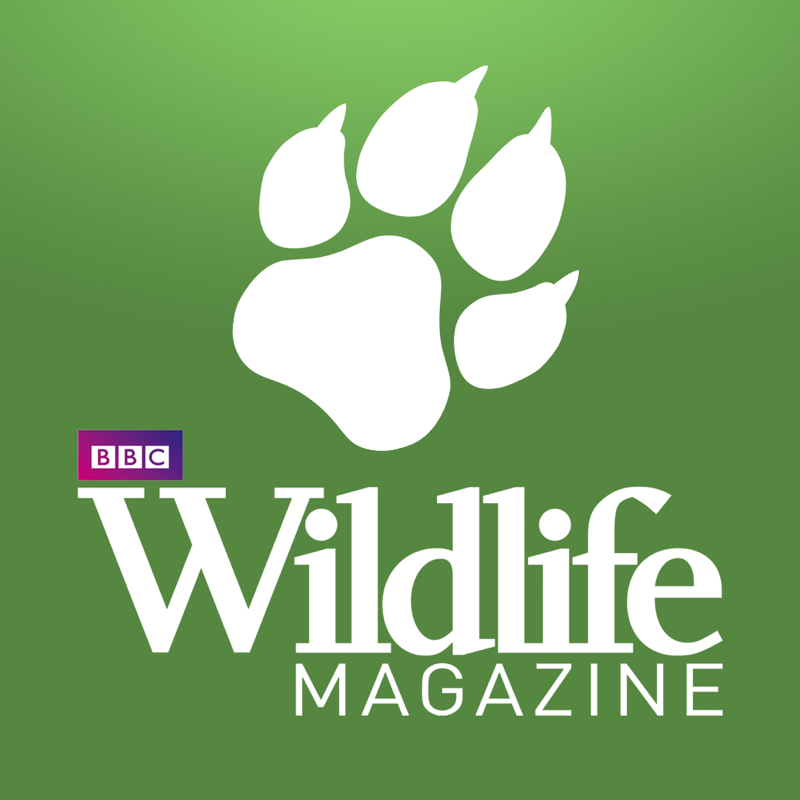 BBC Wildlife Magazine