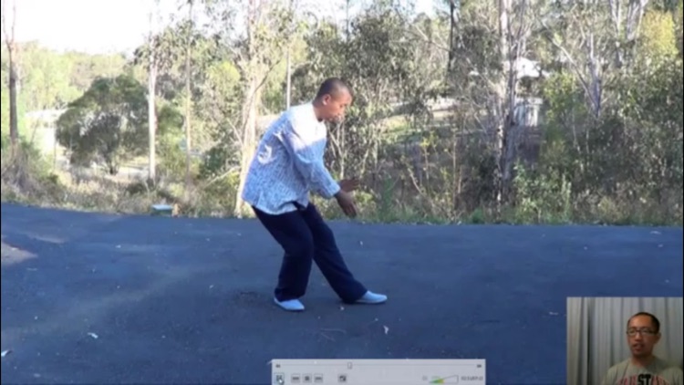 Tai Chi Master Class