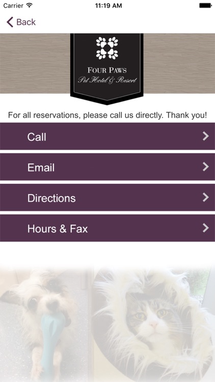 Four Paws Pet Hotel & Resort