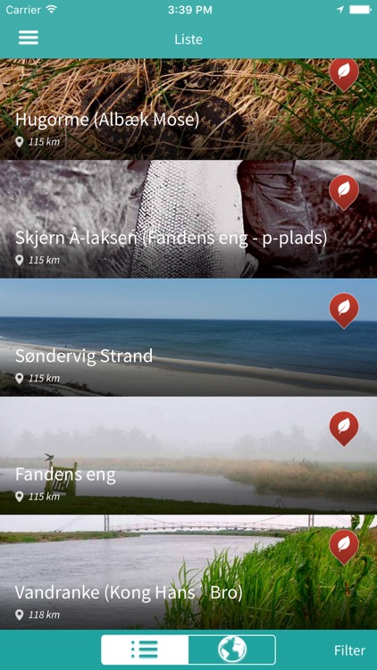 Skjern Å
