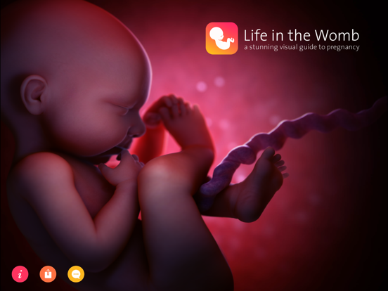 Pregnancy: Life in the Wombのおすすめ画像1