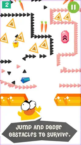 Game screenshot Crazy Duck Adventure - The prodigy duck jump hack