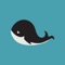 This app is your best Companion to explore the Washington D
