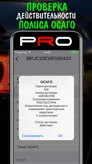 vin проверка авто pro iphone screenshot 4