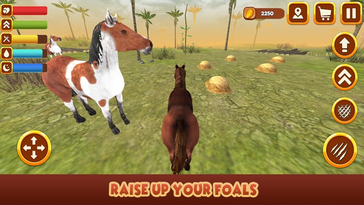 Wild Mustang Horse Survival Simulator screenshot-3