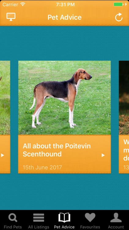 Pets4Homes screenshot-4