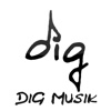 DiG Musik