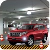 Crazy 4x4 Prado : offroad Simulation Drive Game