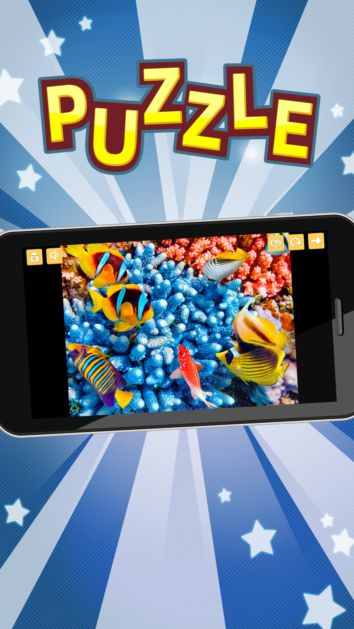 Seascape and Dolphin Jigsaw Puzzles screenshot 3