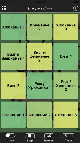Game screenshot звуки кабана mod apk