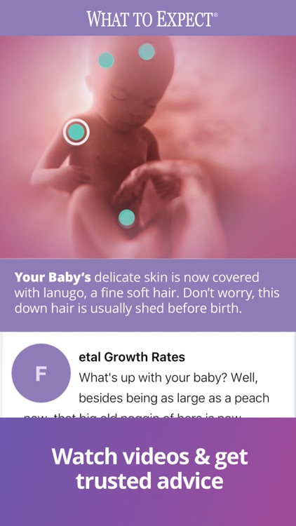 Pregnancy & Baby | What to Expect