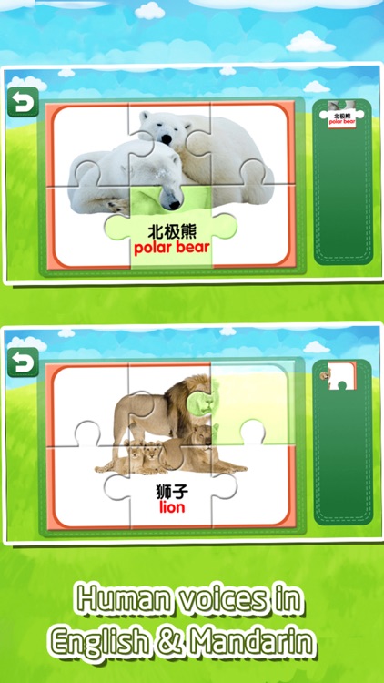 Flashcards jigsaw puzzles game for kids and baby screenshot-3