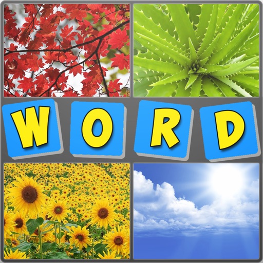 4 pics 1 word quiz: Guess photo puzzles icon