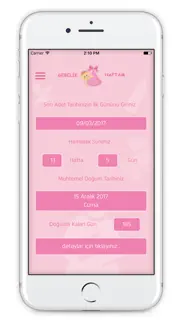 gebelik haftam iphone resimleri 1
