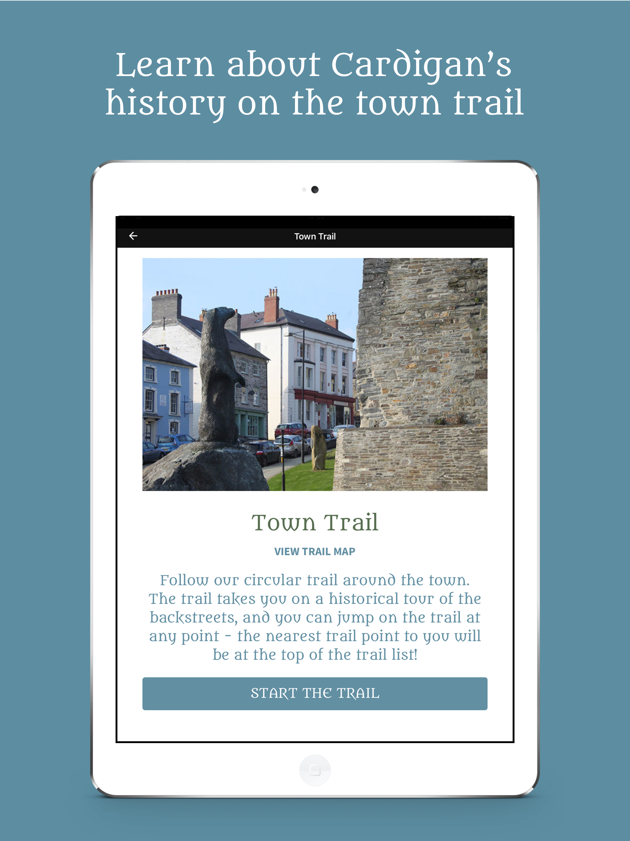 Cardigan Town screenshot 9