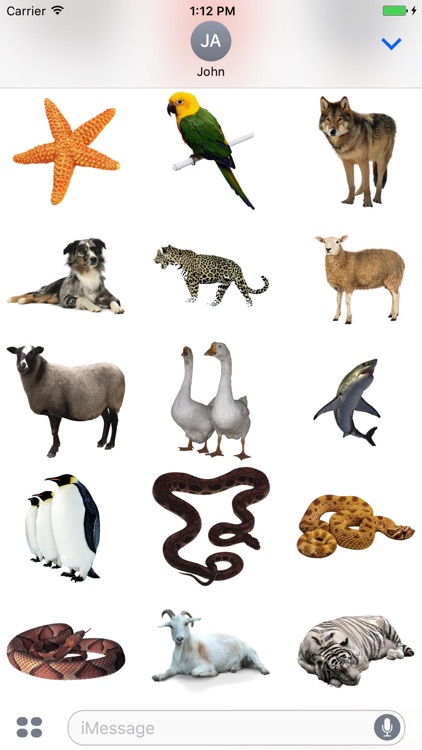 Best Animals Stickers Pack